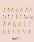 Initial charms